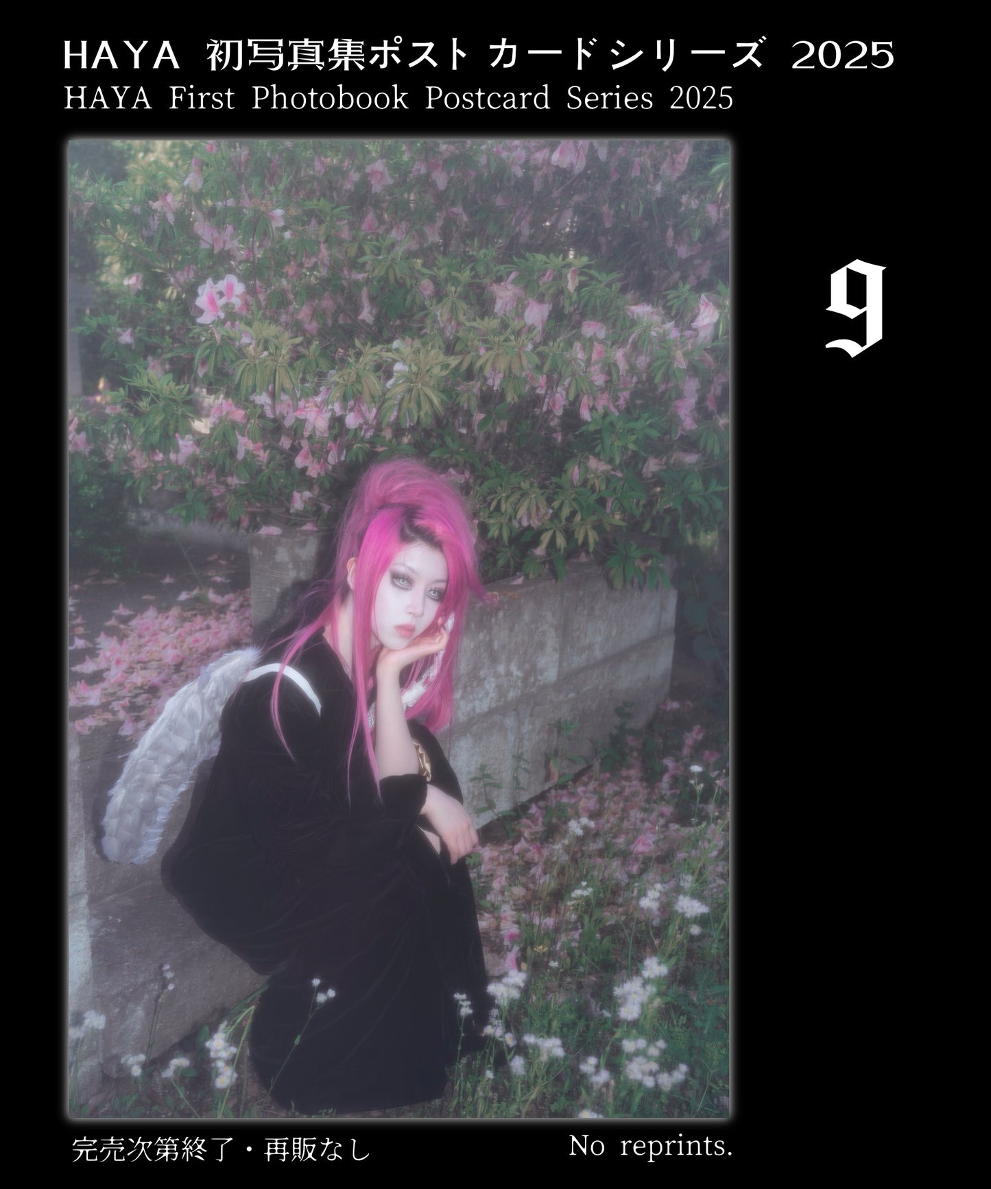 HAYA First Photobook Postcard 2025 HAYA 初写真集ポストカードシリーズ 2025