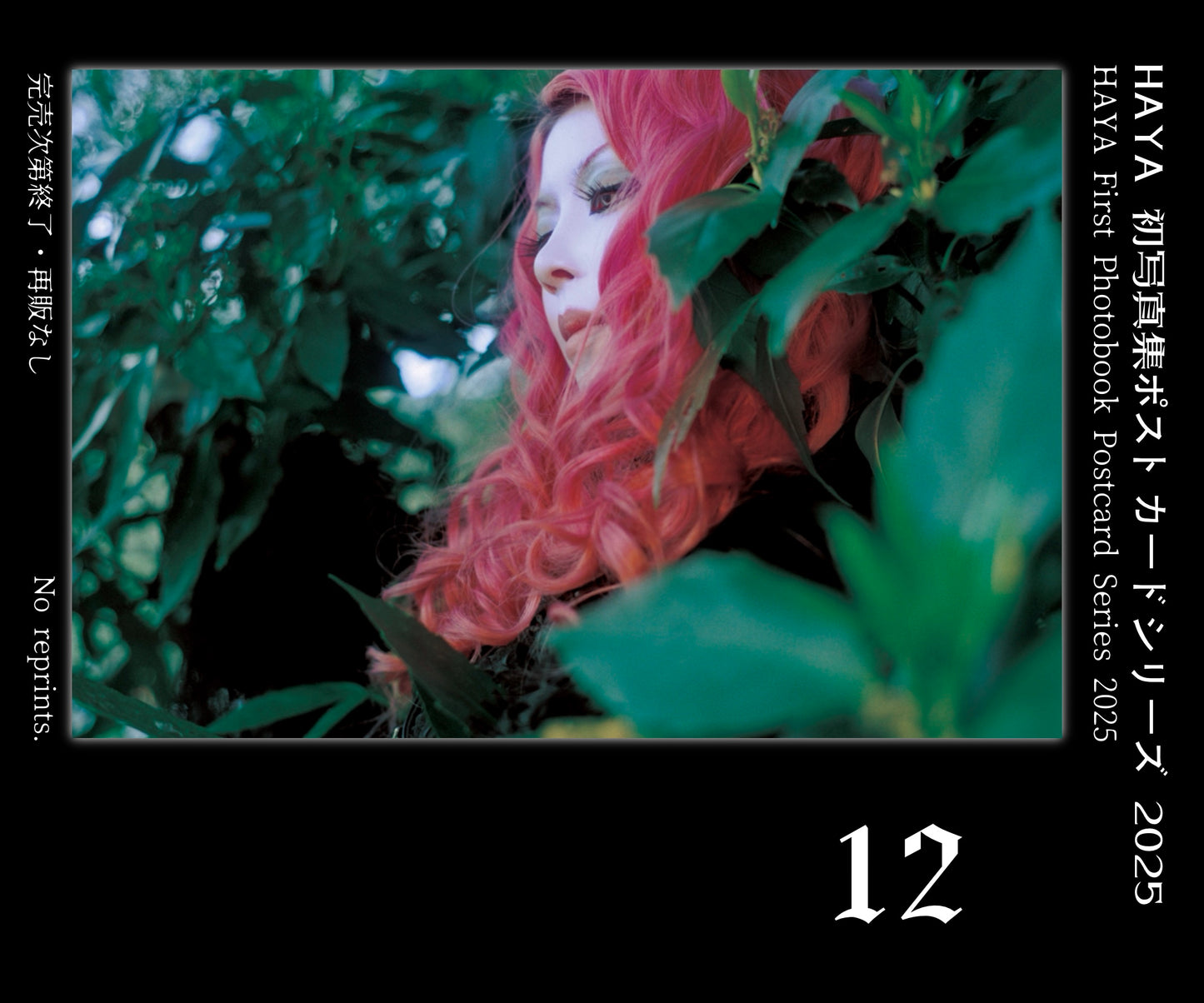 HAYA First Photobook Postcard 2025 HAYA 初写真集ポストカードシリーズ 2025